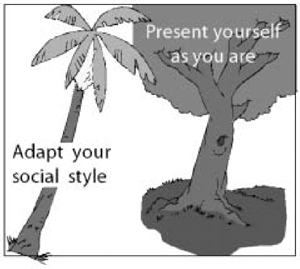 Application of Style Versatility