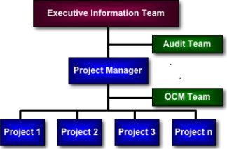Change Programme Organisational Chart