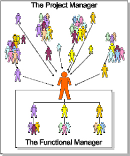 Comparing Functional and Project Management