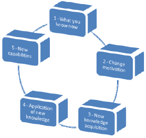 Improvement Process
