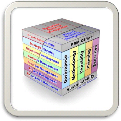 Project Business Management Model