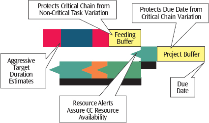 The components of a critical chain schedule