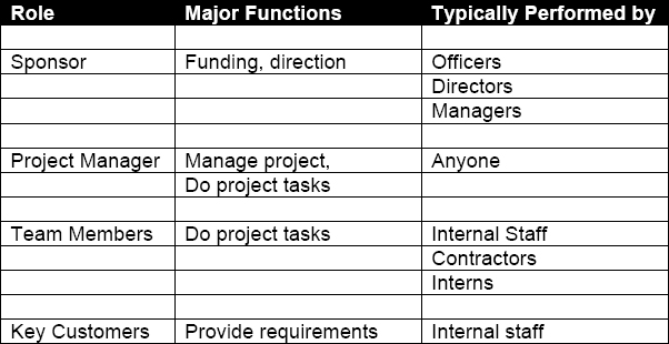 Roles/Responsibilities on Small Projects