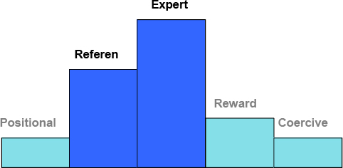 Project manager power