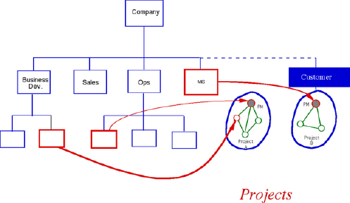 Cross-Organizational Project Teams