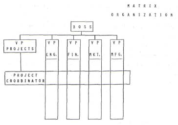 Alternatives for project management -techniques and strategies