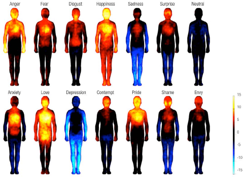 Bodily maps of emotions: Activation increased or decreased when feeling each emotion