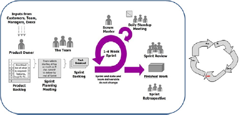 Agile processes