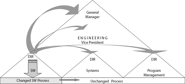 My Organization
