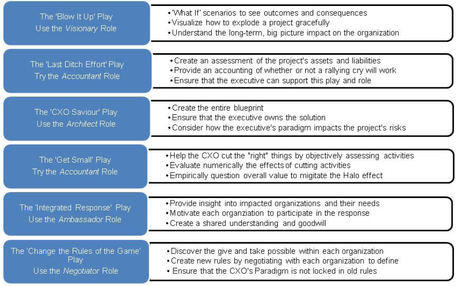 Using New Roles to Optimize Executive Decision Making