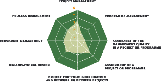 Spider web of the model “project-oriented company mature” (according to Roland Gareis Management of the Project-Oriented Company®)