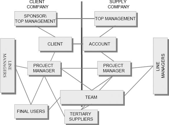 The most common roles in a project stakeholder analysis