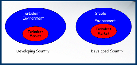 From Project Management Perspective, Turbulent Market and its Environment