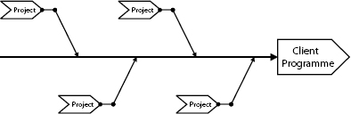 The Fish-Bone Approach to Program Delivery in a Project-Based Organization Undertaking Many Projects for Few Customers
