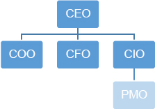 PMO reporting within a functional unit