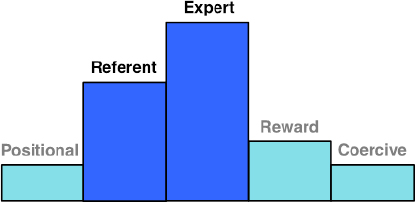 Project leader power