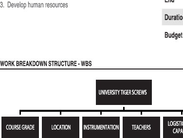 Example of Project Preliminary Information