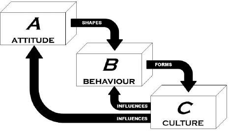 The A-B-C Model (Attitude-Behaviour-Culture)