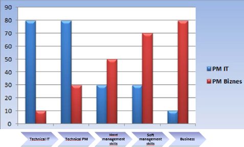 Project management competencies chart