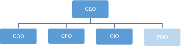 PMO reporting to top management, delivering strategic projects across multiple units of the organization