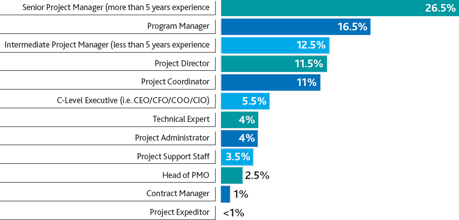 What is your current role?