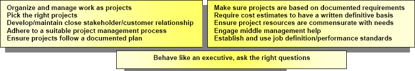 Getting executives to act for project success
