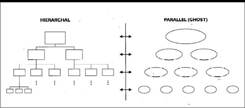 Parallel Team-Oriented Organization