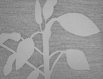 Drawing the negative space (Devsim, 2008)