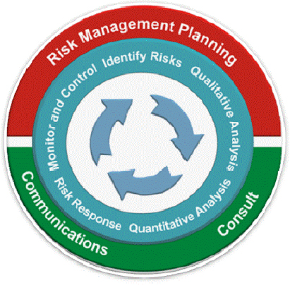 Project risk management alternate view