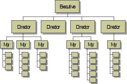 The Traditional View Of Organizational Decision Making
