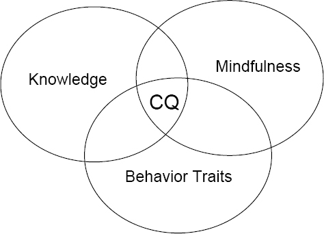The Three Elements of Cultural Intelligence