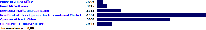 Priority Results for the Projects According to the Return On Investment Criterion