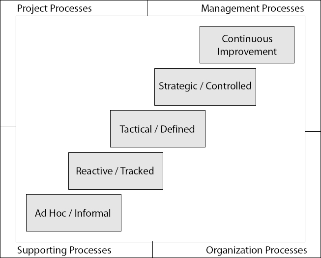 BNYCS PM Maturity Model