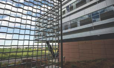 Wire mesh keeps birds from crashing into the windows of the ESIF and also reduces the amount of sun hitting the east windows