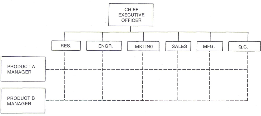 A product industry matrix organization