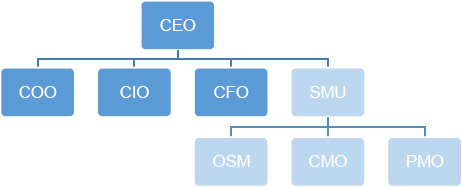 Structure of the Strategic Management Unit (SMU)