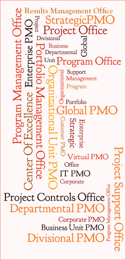 Variedad de los nombres utilizados para referirse a la PMO