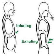 Deep Breathing illustration from www.orcee.com