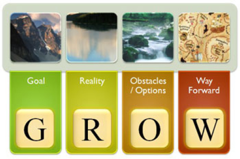 GROW Model