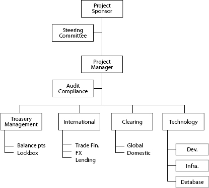Project Organization Chart—External View
