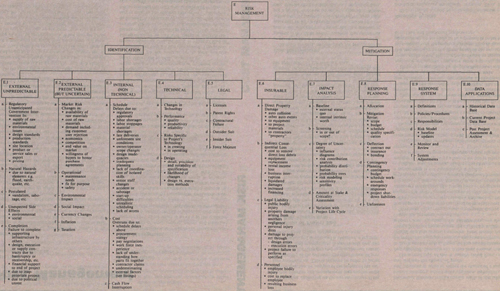 Function Chart Risk Management
