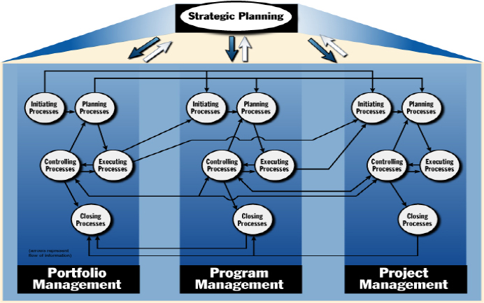Organizational Project Management Processes