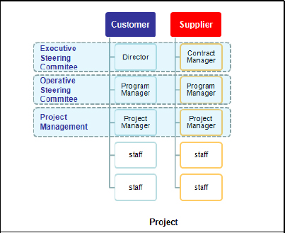 Steering Committee organization