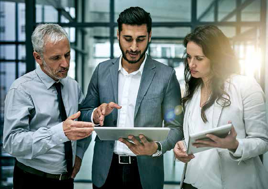 A New Kind of Program Manager?Complex Software Projects