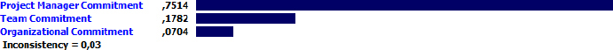 Priority Results for the Stakeholder Commitment Criteria