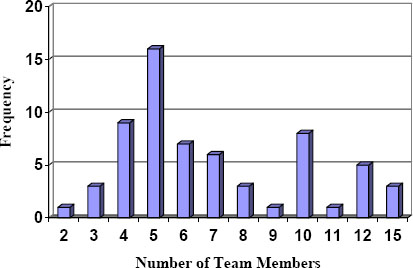 Distribution of number of team members in the research sample