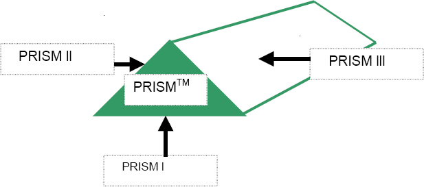 The PRISM™ MODEL