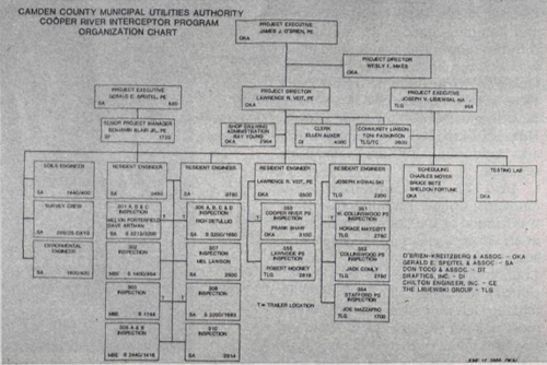Project Team Organizational Chart