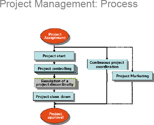 Project Management Process (Cleland & Gareis, 2006)