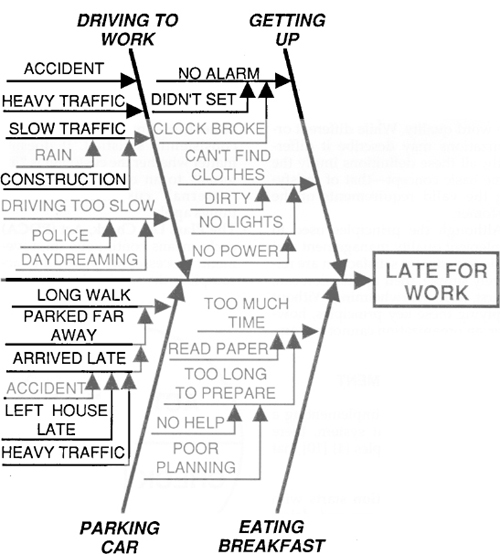 A Cause and Effect Diagram